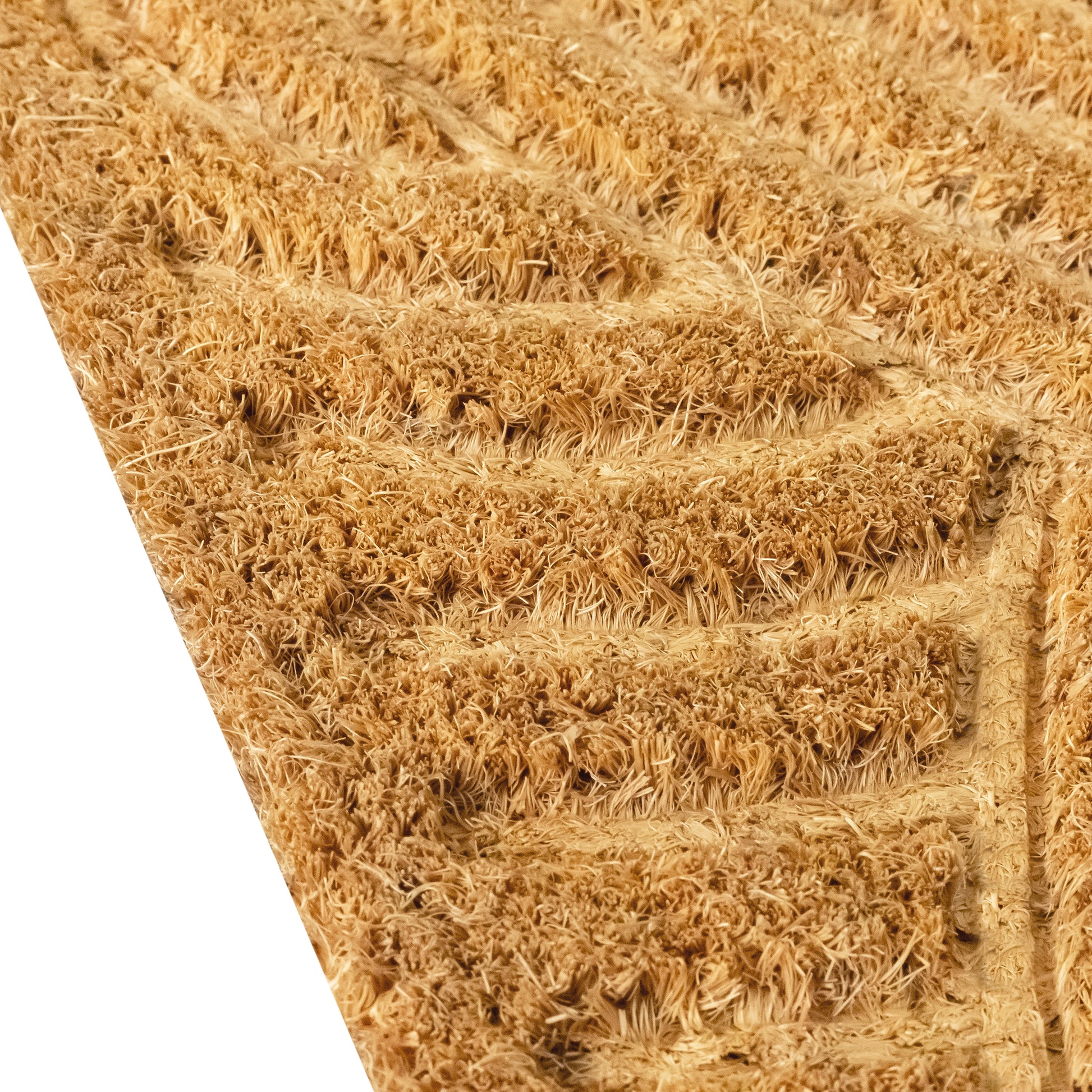 Contemporary Embossed Non-Slip Door Mat