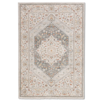 Tapis gris beige de qualité supérieure d'inspiration vintage Farahan