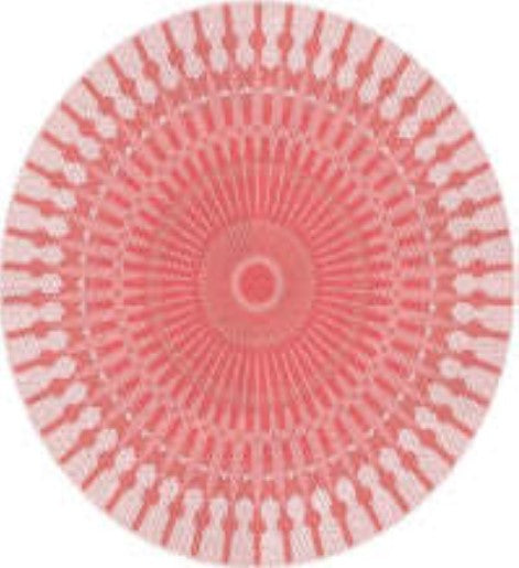 Fiesta Round Red Indoor/Outdoor Plastic Rug