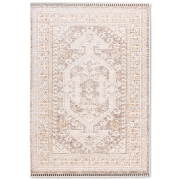 Tapis gris beige de qualité supérieure d'inspiration vintage Farahan